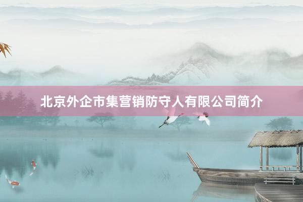 北京外企市集营销防守人有限公司简介